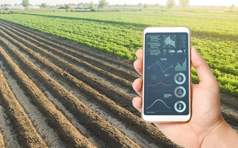 internet das coisas: imagem de um campo de agricultura e uma mão segurando um celular com um aplicativo de monitoramento na tela