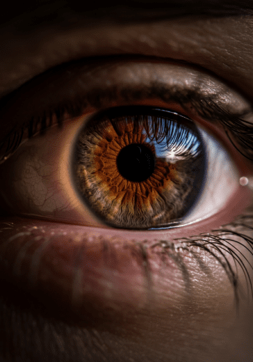 Image 3: realistic image with details of the eye area